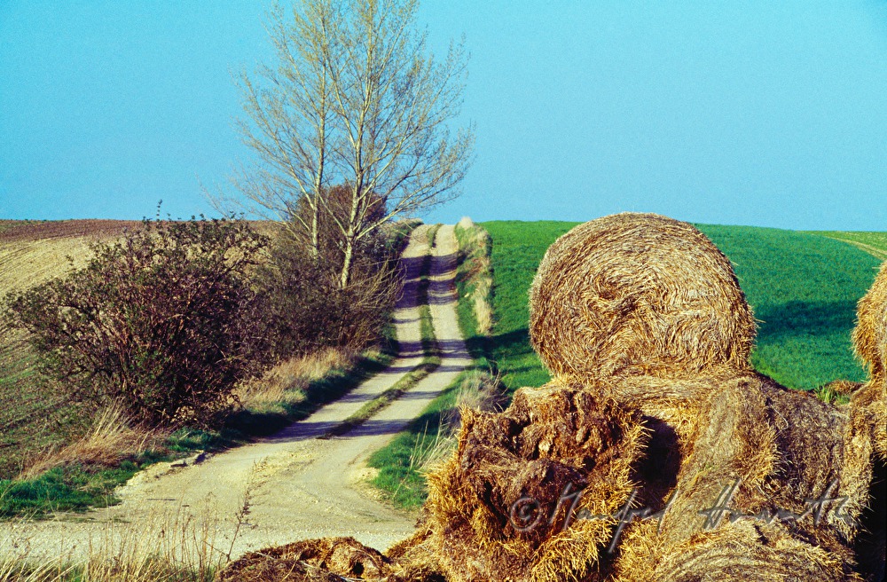 path and heap of straw