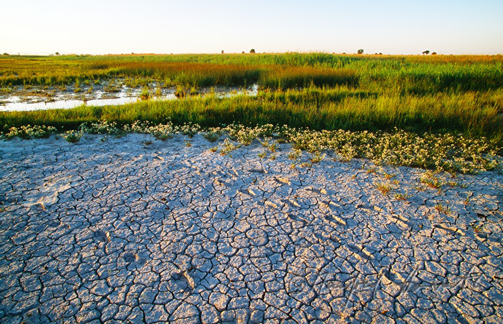 desiccated sodalake in summer