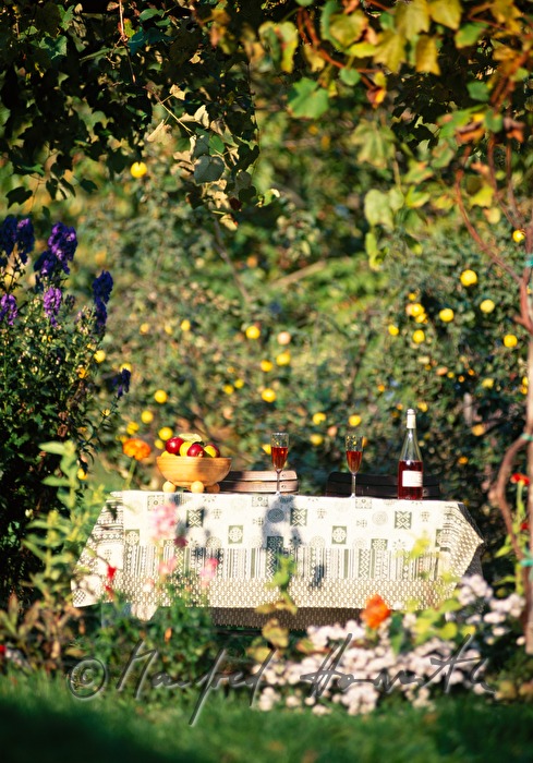 decorated garden table with sparkling Uhudler wine