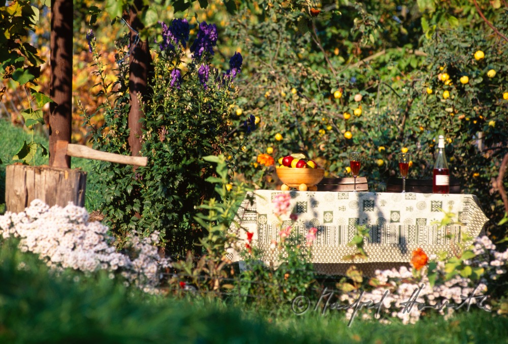 decorated garden table with sparkling Uhudler wine