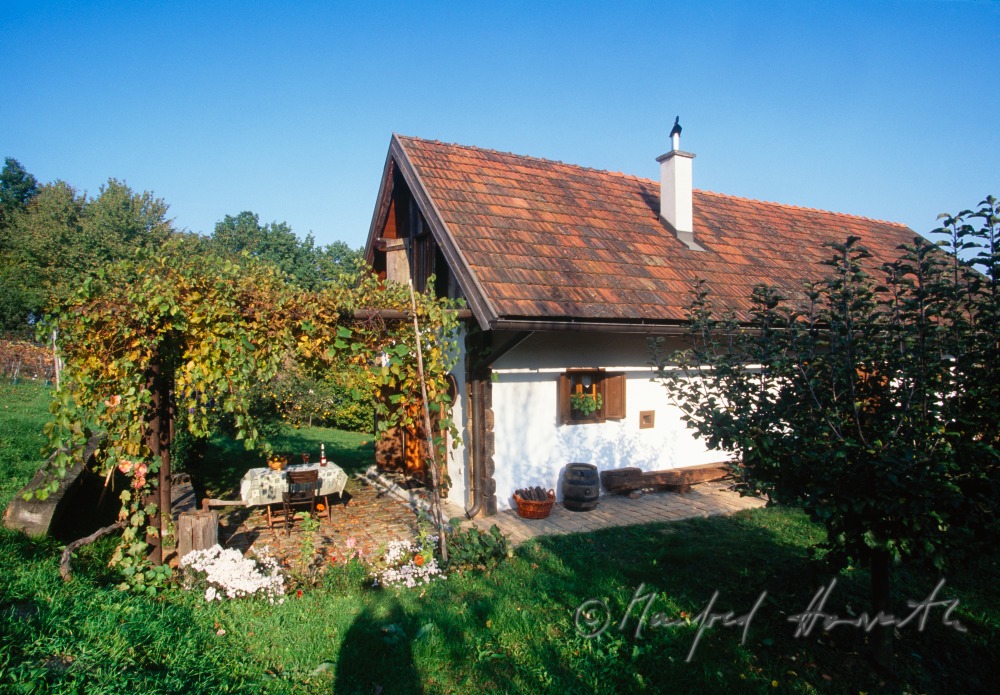 vineyard and cellar weinek