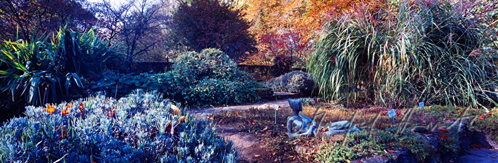 Botanical Garden