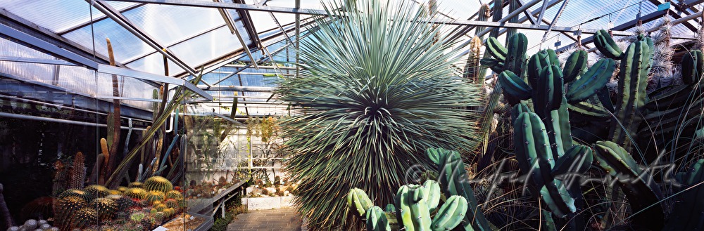 Botanical Garden