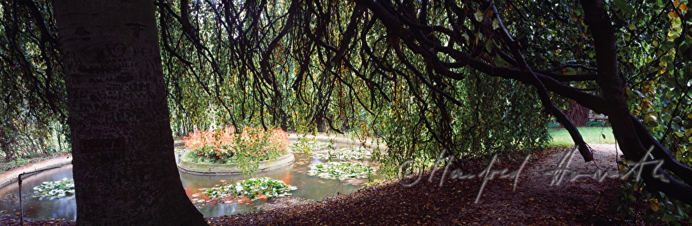 bond in the monastery garden