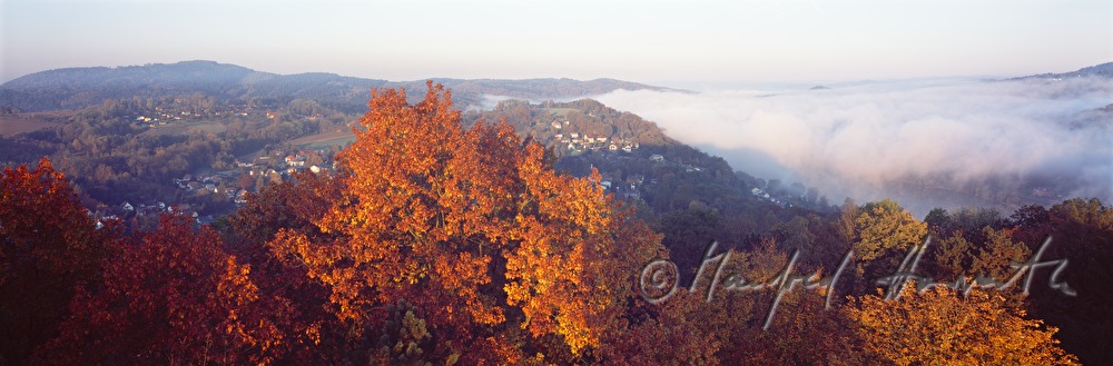view from Frein Hill (Franz Joseph viewing point)