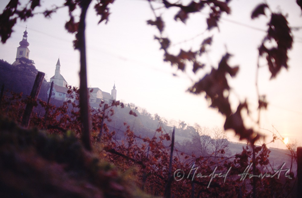 three churches and autumnally coloured vineyard