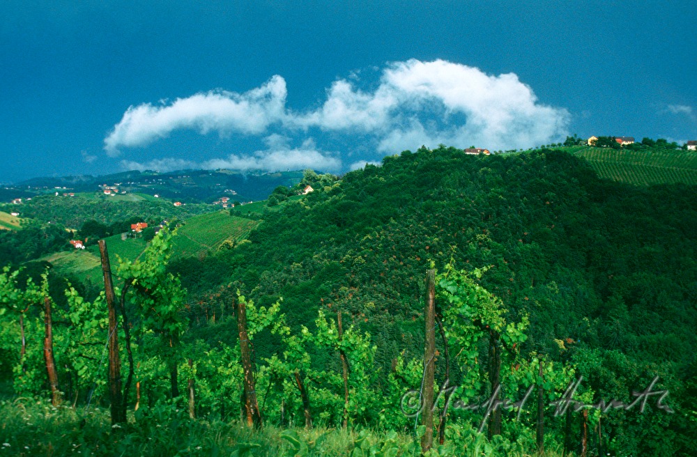 steep vineyards and a cloud
