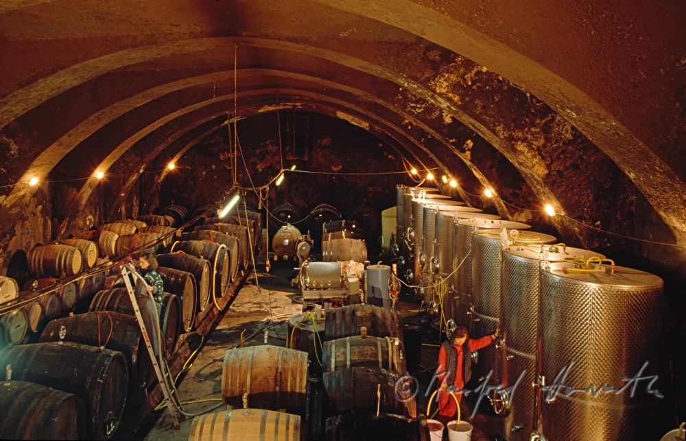 wine cellar of wine estate  Winkler-Hermaden