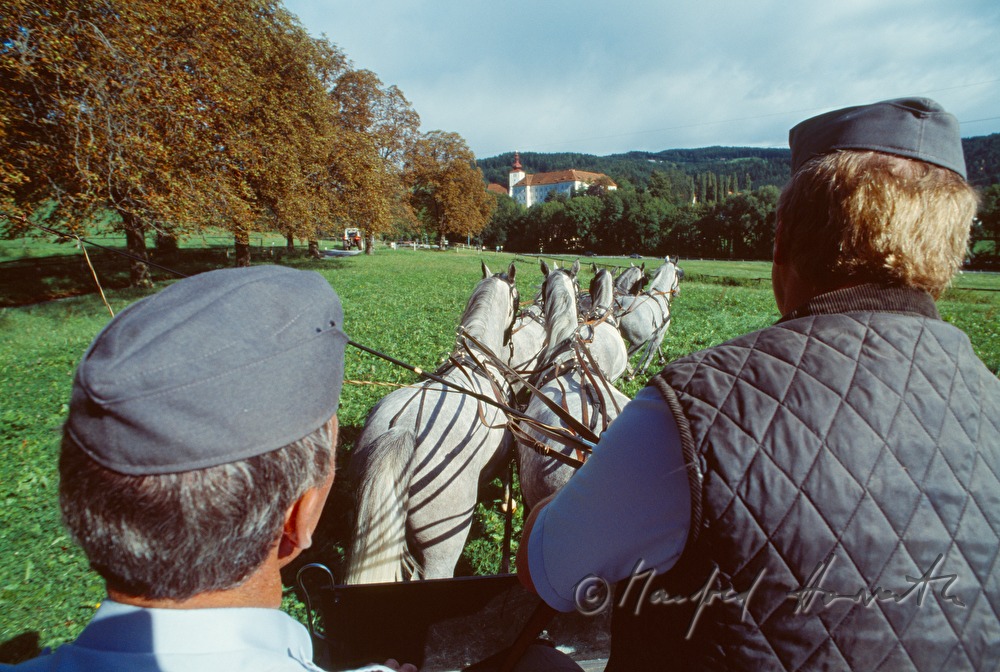 horse cab near Castle Piber