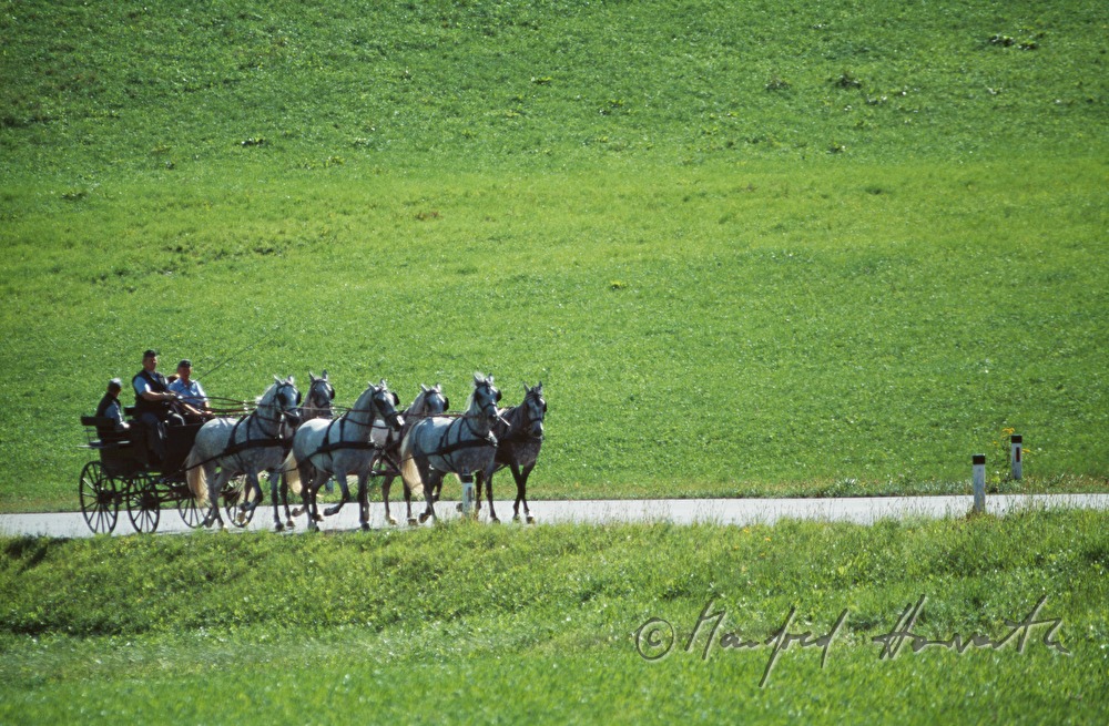 horse cab near Castle Piber
