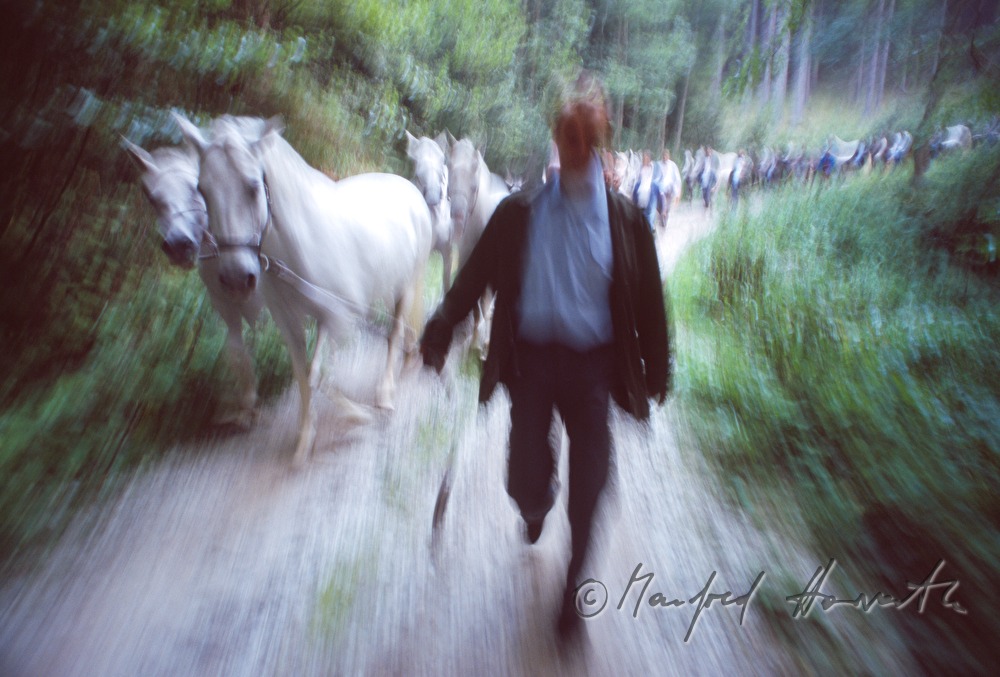 coming home from the alp (Stupalm)
