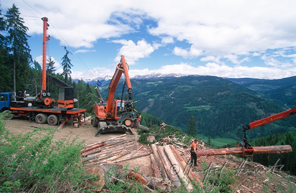 transport of timber in the steep forest