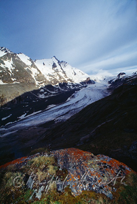 Pasterze and rock with lichen on it