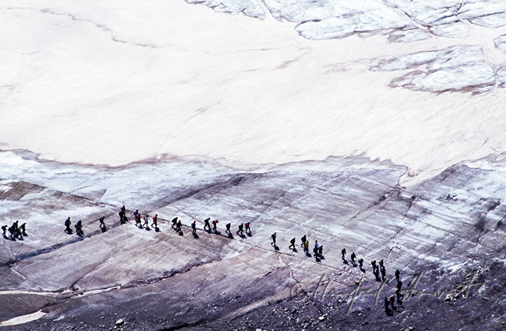 Pasterze, group of alpinists on the glacier