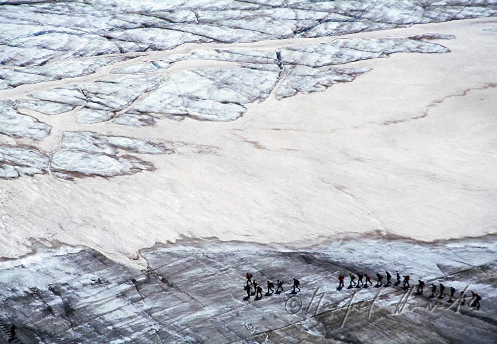 Pasterze, group of alpinists on the glacier