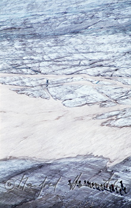 Pasterze, group of alpinists on the glacier