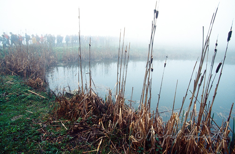 pilgrims pass a pond
