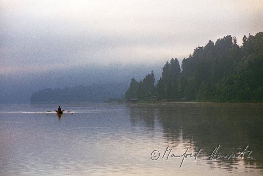 rowing boat and shore
