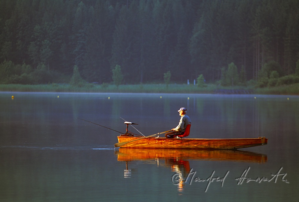 rowing boat and shore