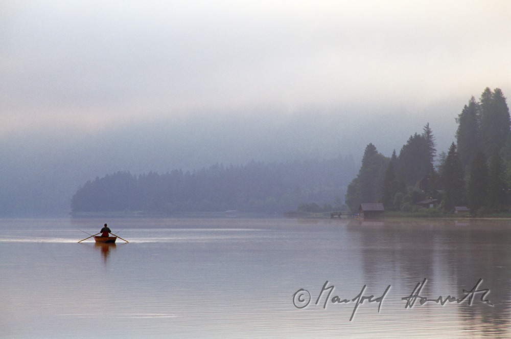 rowing boat and shore
