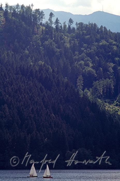 sailing boats and shore with forest