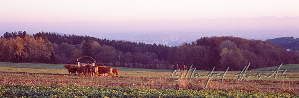 view from Kirchschlag to Linz