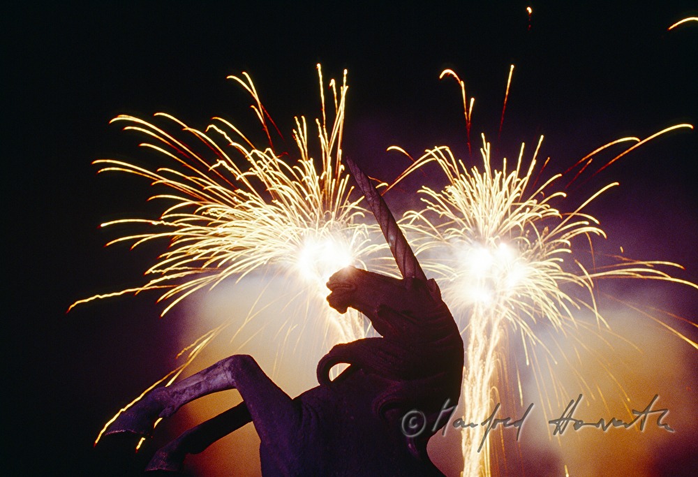 fireworks and unicorn  in the park