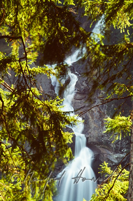 Krimmler Wasserfälle and tree