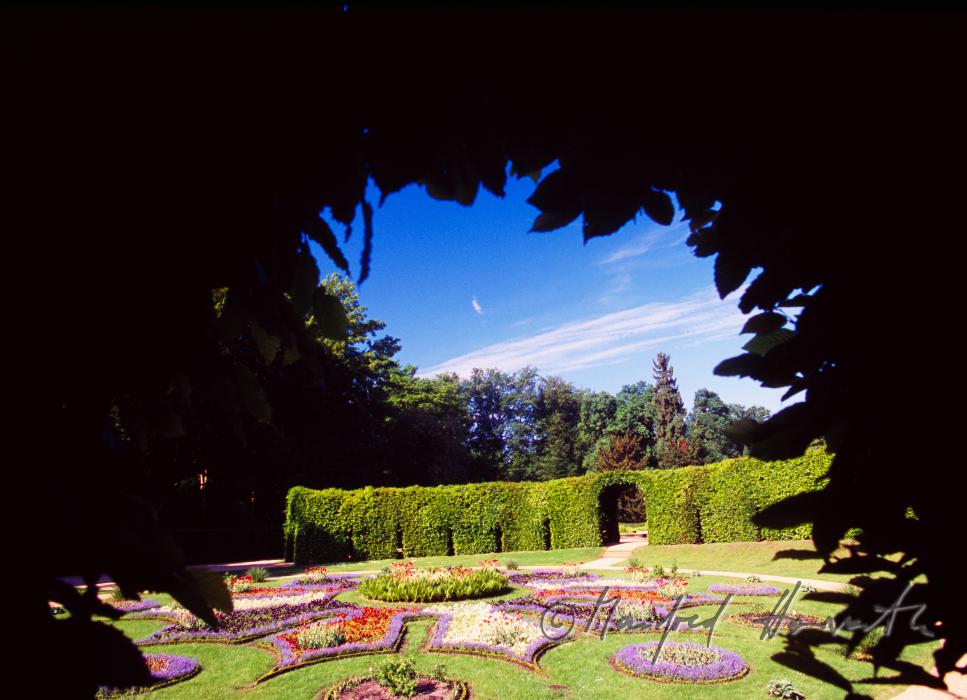 view through a hedge in the Park Sanssouci