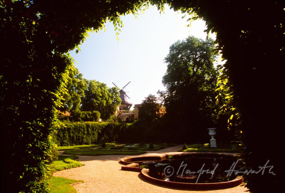 view through a hedge in the Park Sanssouci