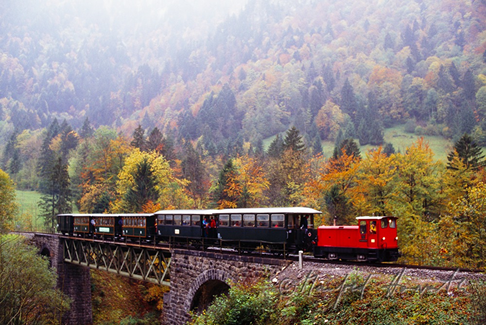 Bregenzerwaldbahn ia a narrow-gauge railway