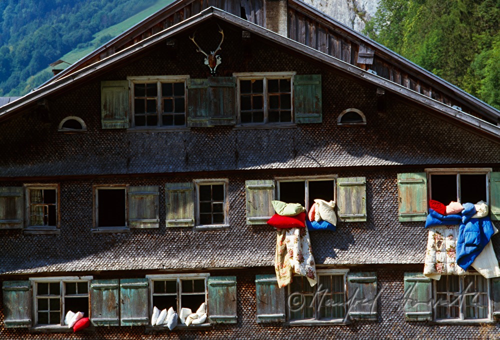 traditional shingle house