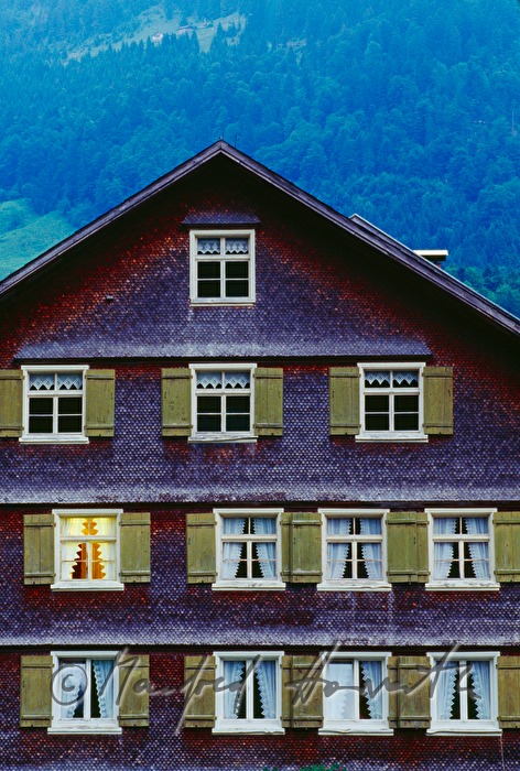 traditional shingle house