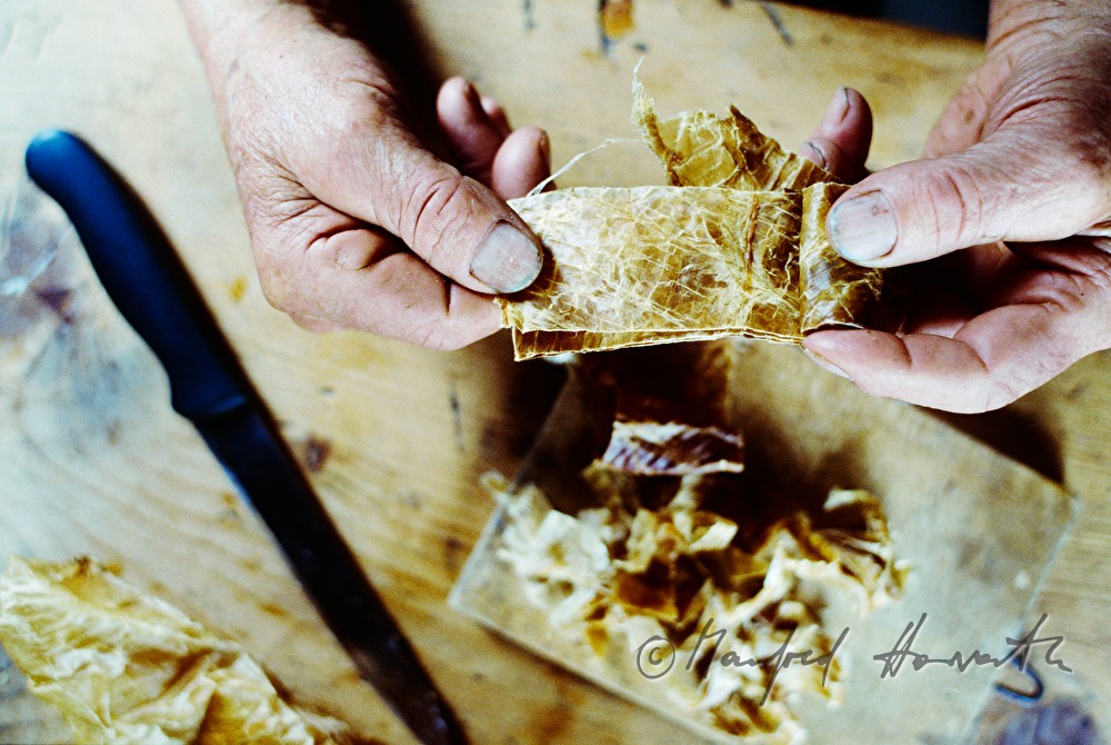 rennet is being cut for the fermentation of cheese