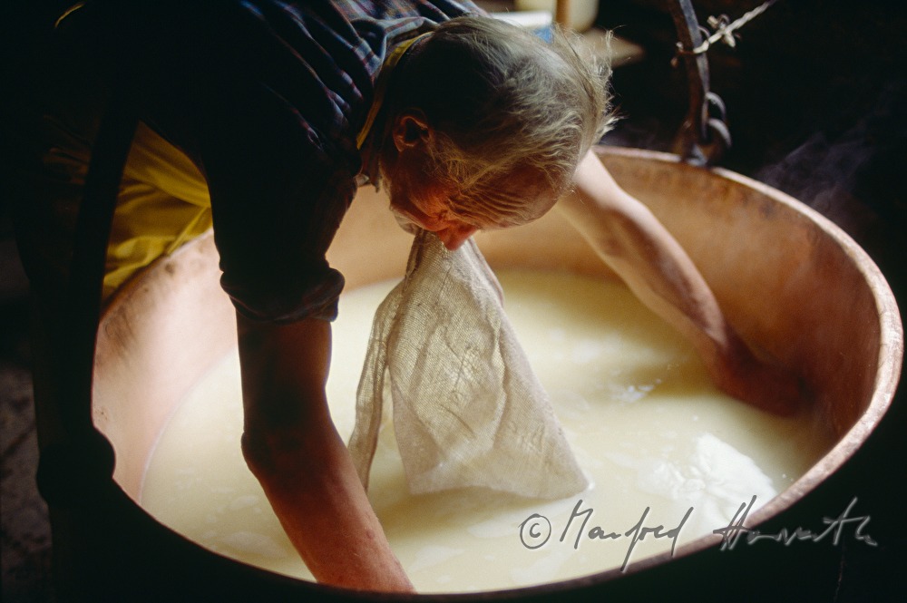 dairyman collects coagulated milk with a cloth