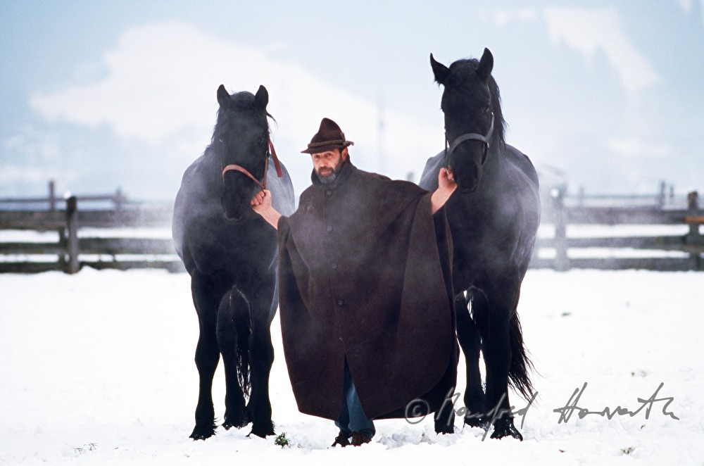 farmer with horses