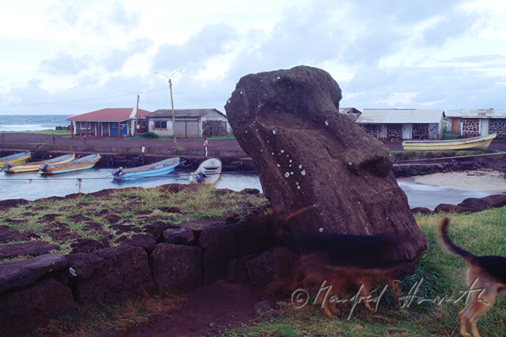 Moai-head in the harbour of Hanga Roa