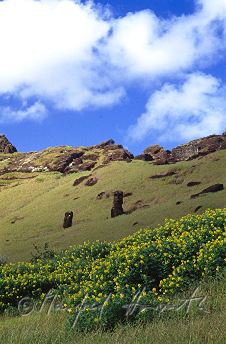 Moais on the foot of the volcano