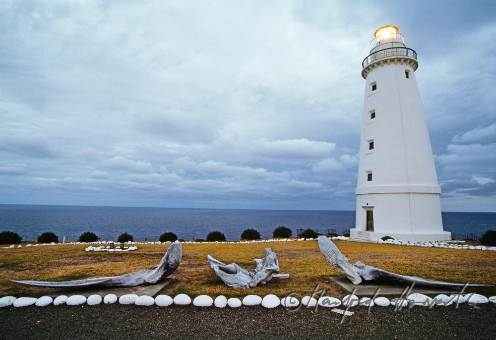 Cape Willoughby Lightstation, whale bones