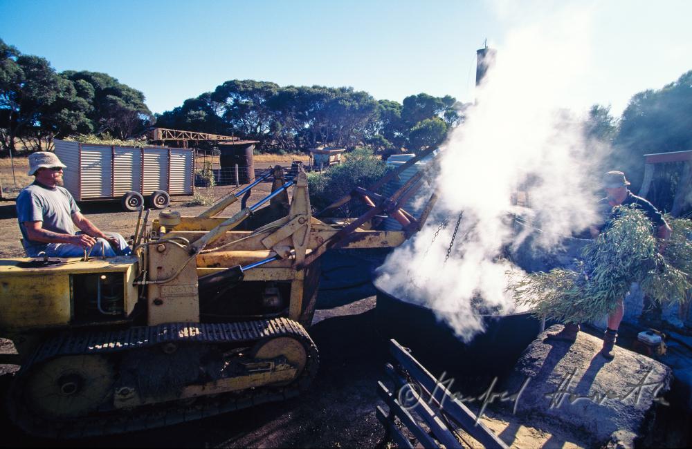 Emu Ridge Eucalyptus Distillery