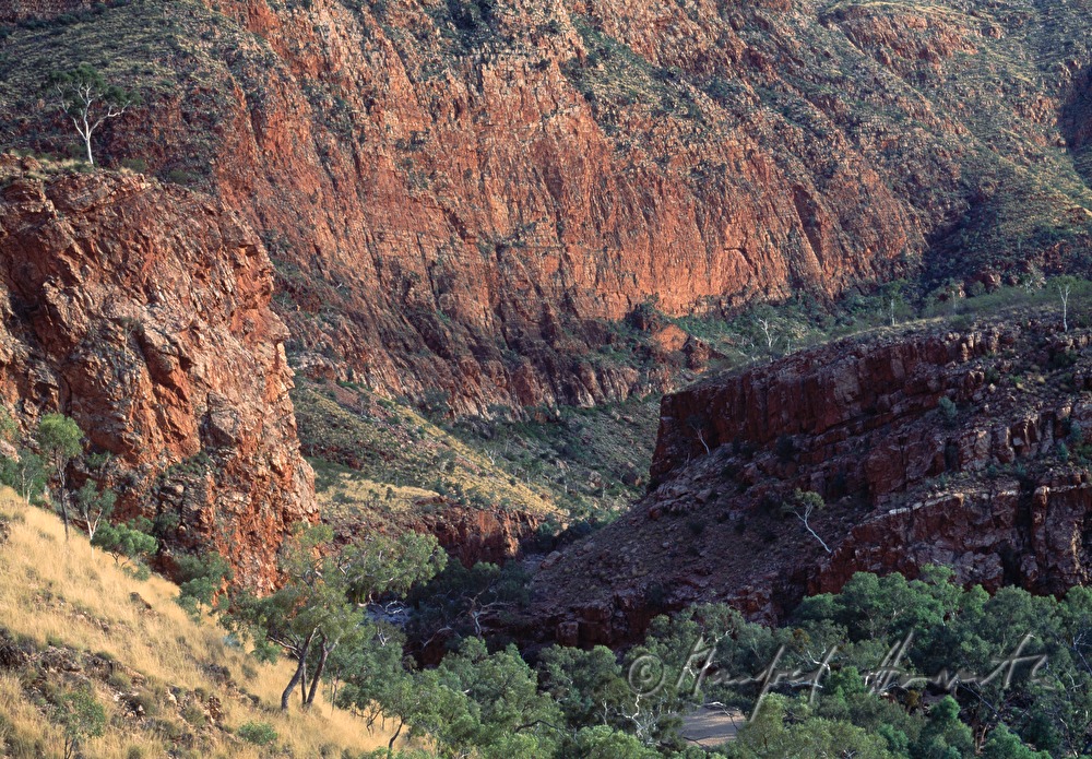 valley of the MacDonnell Ranges