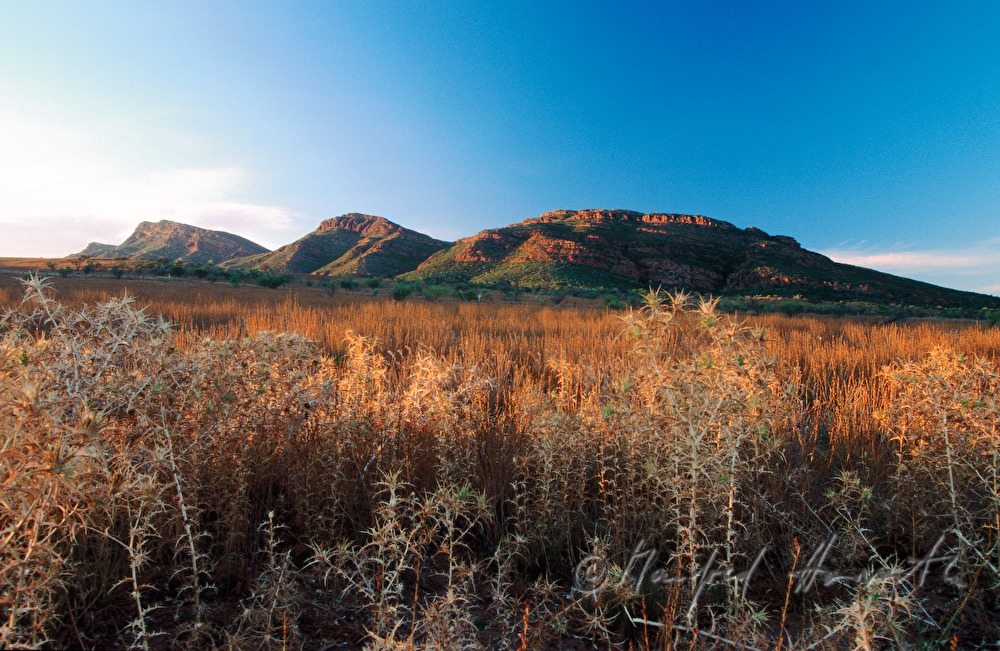 valley of the MacDonnell Ranges