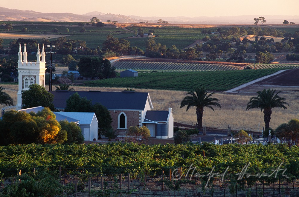 view over Angaston