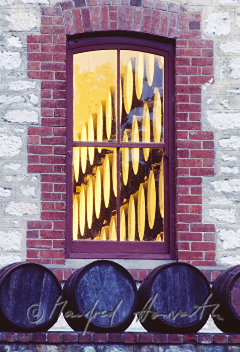 window to the wine cellar with wine barrels