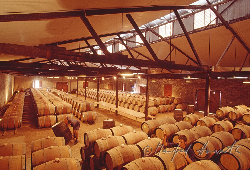 red wine is stored in barrique barrels