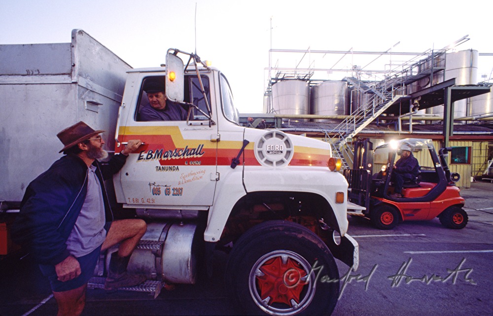 truck drivers deliver grapes