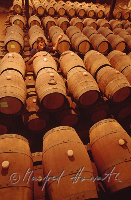 red wine is stored in barrique barrels