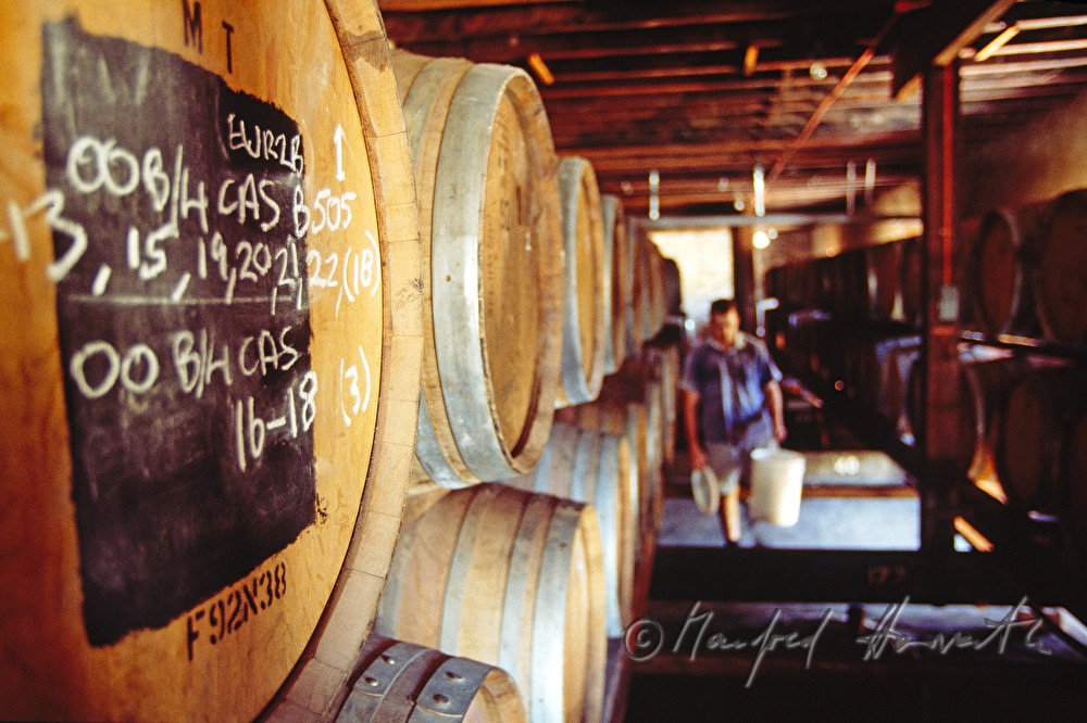 barique-barrels are marked with chalk
