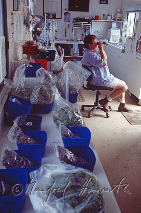 laboratory technician tests sweetness of grapes