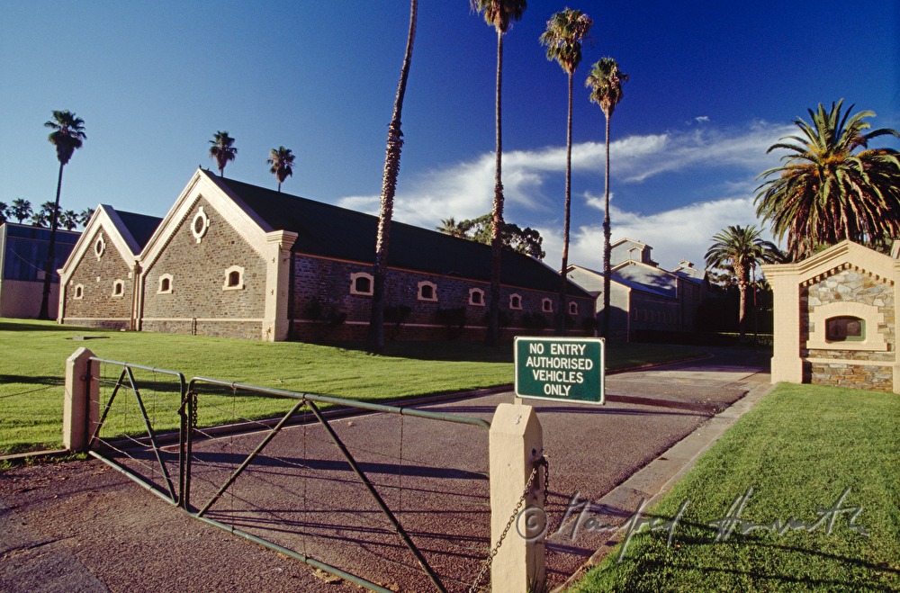 wine cellars of winery Seppeltsfield